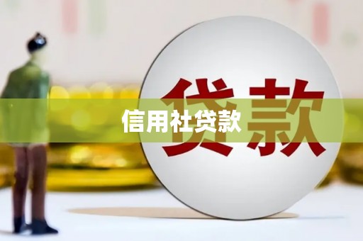 安图信用社贷款