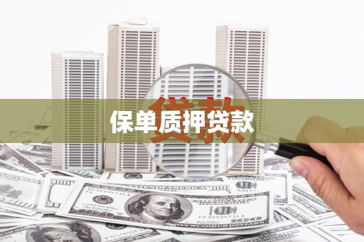 靖宇保单质押贷款