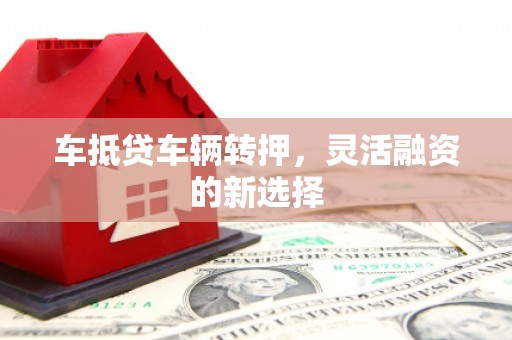靖宇车抵贷车辆转押，灵活融资的新选择