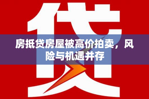 新河房抵贷房屋被高价拍卖，风险与机遇并存