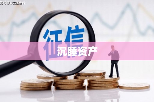 修文沉睡资产