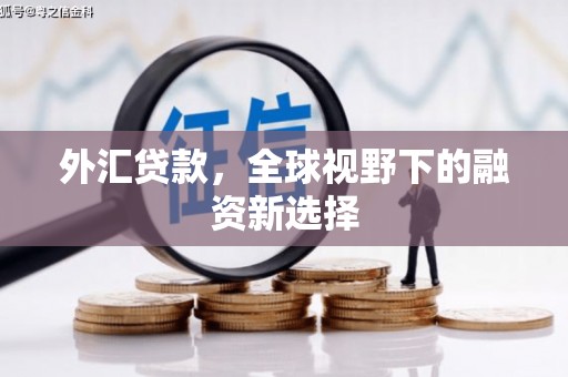 南木林外汇贷款，全球视野下的融资新选择
