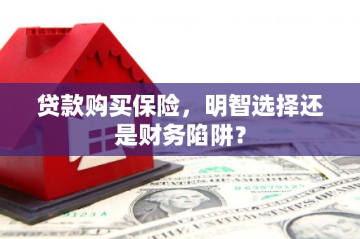 朱家尖贷款购买保险，明智选择还是财务陷阱？