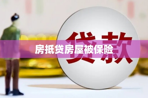 新河房抵贷房屋被保险