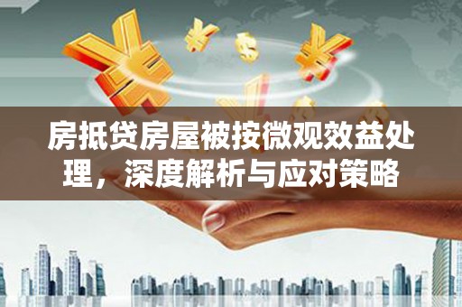芦溪房抵贷房屋被按微观效益处理，深度解析与应对策略