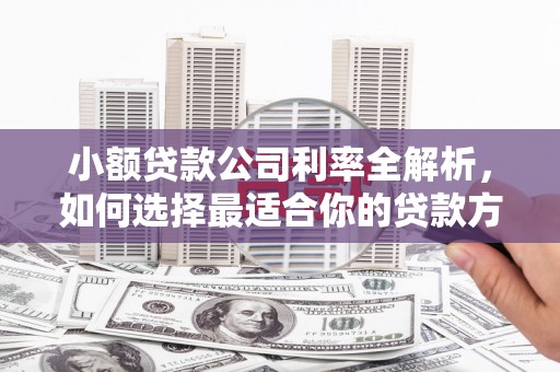 庄浪小额贷款公司利率全解析，如何选择最适合你的贷款方案？