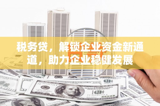 庄浪税务贷，解锁企业资金新通道，助力企业稳健发展