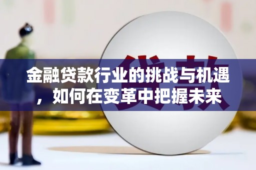 通城金融贷款行业的挑战与机遇，如何在变革中把握未来