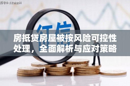普洱房抵贷房屋被按风险可控性处理，全面解析与应对策略