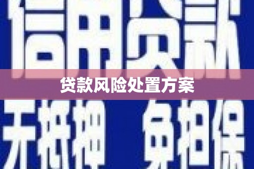 太仆寺旗贷款风险处置方案