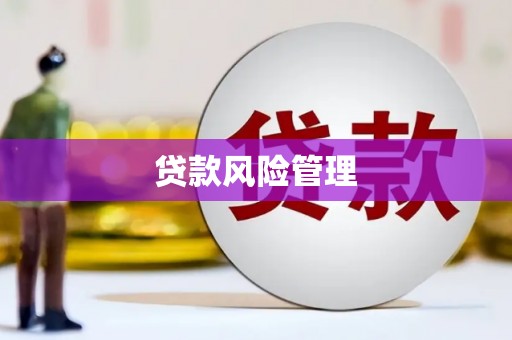木里贷款风险管理