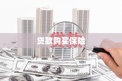 大武贷款购买保险