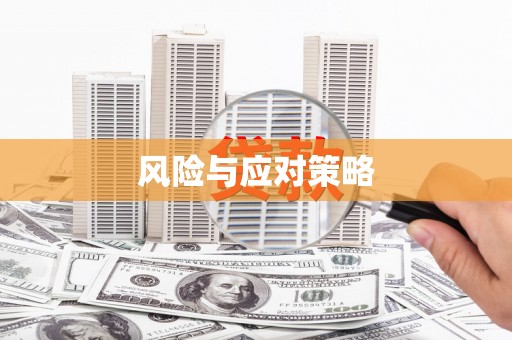 洪湖风险与应对策略