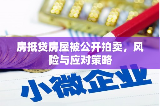 狮子山房抵贷房屋被公开拍卖，风险与应对策略