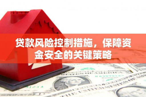 大武贷款风险控制措施，保障资金安全的关键策略