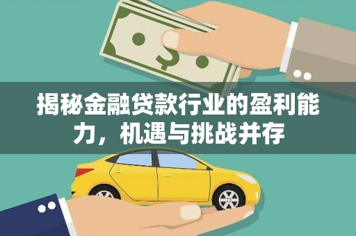 白云鄂博矿区揭秘金融贷款行业的盈利能力，机遇与挑战并存
