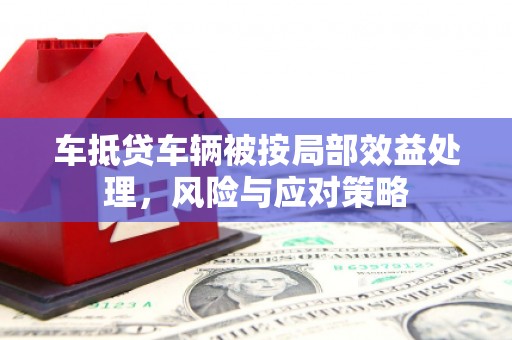 芳苑车抵贷车辆被按局部效益处理，风险与应对策略
