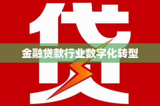 乃东金融贷款行业数字化转型