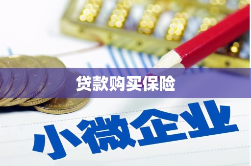 蒲江贷款购买保险