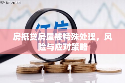 淡水房抵贷房屋被特殊处理，风险与应对策略