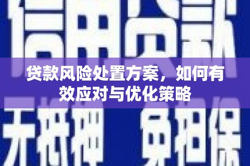 安塞贷款风险处置方案，如何有效应对与优化策略