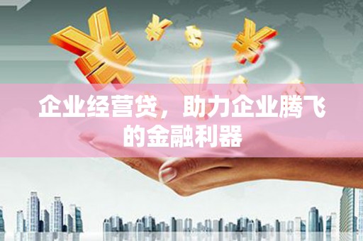 安塞企业经营贷，助力企业腾飞的金融利器