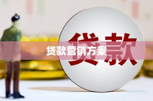 天等贷款营销方案