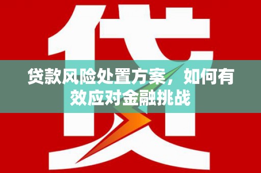 香河贷款风险处置方案，如何有效应对金融挑战