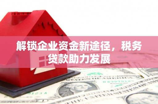 建平解锁企业资金新途径，税务贷款助力发展