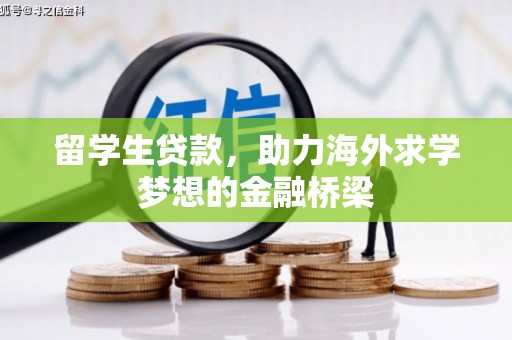 郾城留学生贷款，助力海外求学梦想的金融桥梁