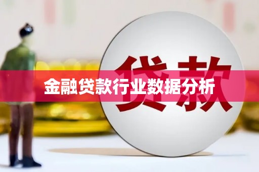 竹塘金融贷款行业数据分析