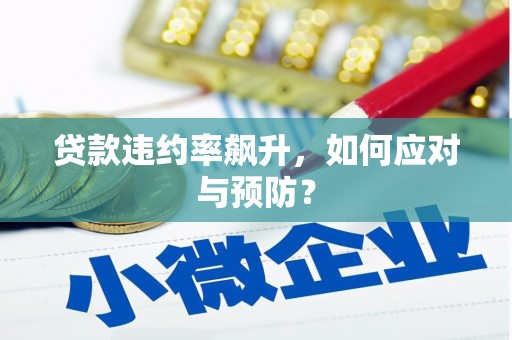 法库贷款违约率飙升，如何应对与预防？