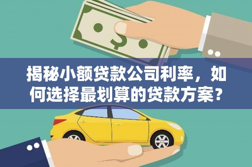 渠县揭秘小额贷款公司利率，如何选择最划算的贷款方案？