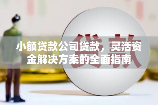 德清小额贷款公司贷款，灵活资金解决方案的全面指南
