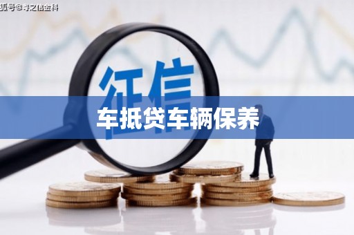 仪征车抵贷车辆保养