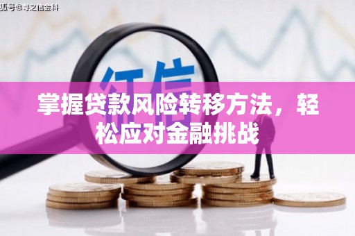 齐河掌握贷款风险转移方法，轻松应对金融挑战