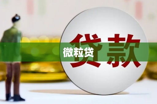 楠梓微粒贷