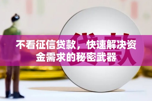 东昌不看征信贷款，快速解决资金需求的秘密武器