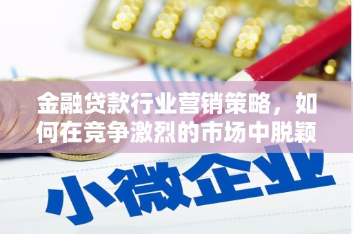 临高金融贷款行业营销策略，如何在竞争激烈的市场中脱颖而出？