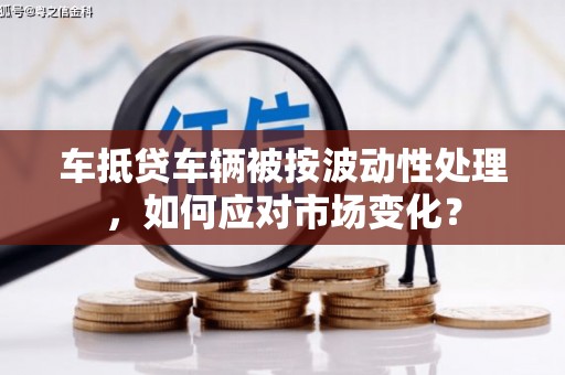 润州车抵贷车辆被按波动性处理，如何应对市场变化？