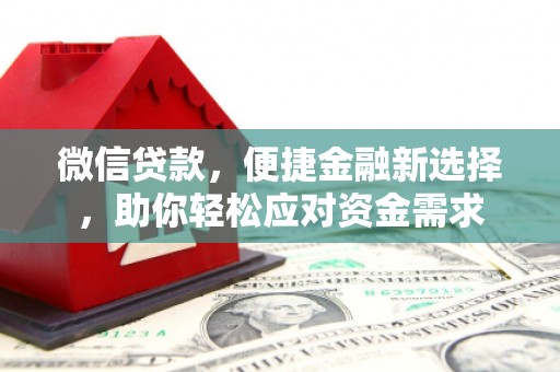 大武口微信贷款，便捷金融新选择，助你轻松应对资金需求