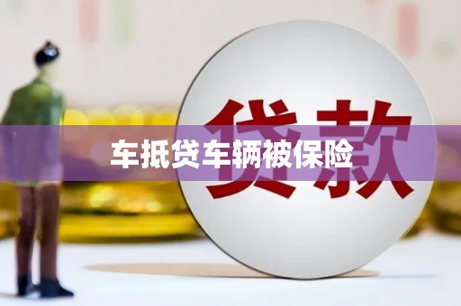 共和车抵贷车辆被保险