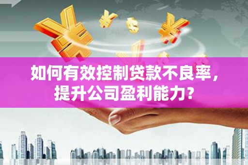 垫江如何有效控制贷款不良率，提升公司盈利能力？