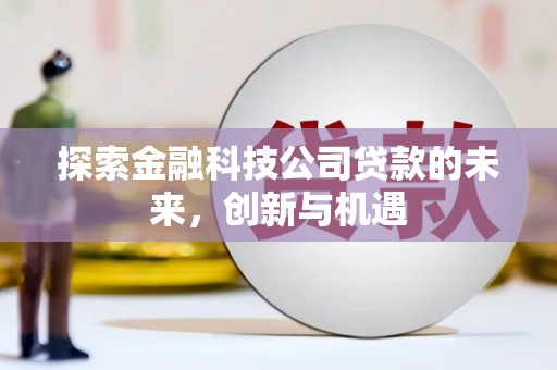 普兰店探索金融科技公司贷款的未来，创新与机遇