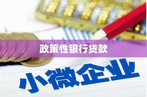 建平政策性银行贷款