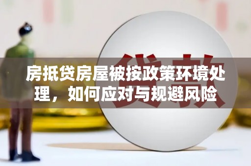 莒南房抵贷房屋被按政策环境处理，如何应对与规避风险