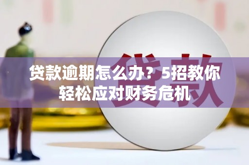 南皮贷款逾期怎么办？5招教你轻松应对财务危机