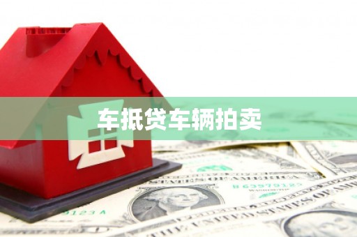 贵定车抵贷车辆拍卖