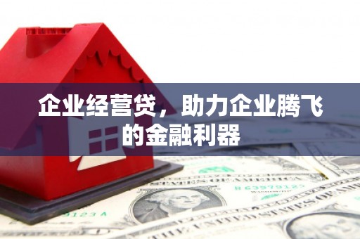 泰武企业经营贷，助力企业腾飞的金融利器