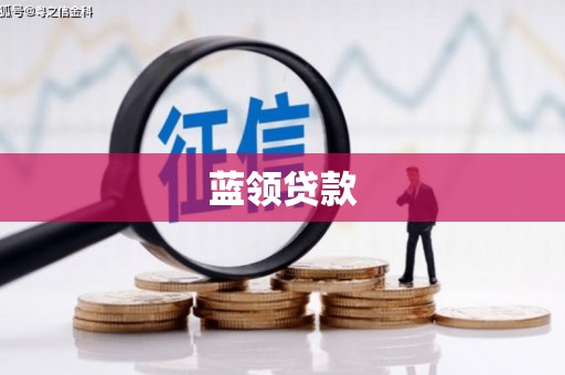 南皮蓝领贷款